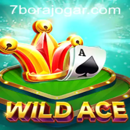 borajogar Casino App